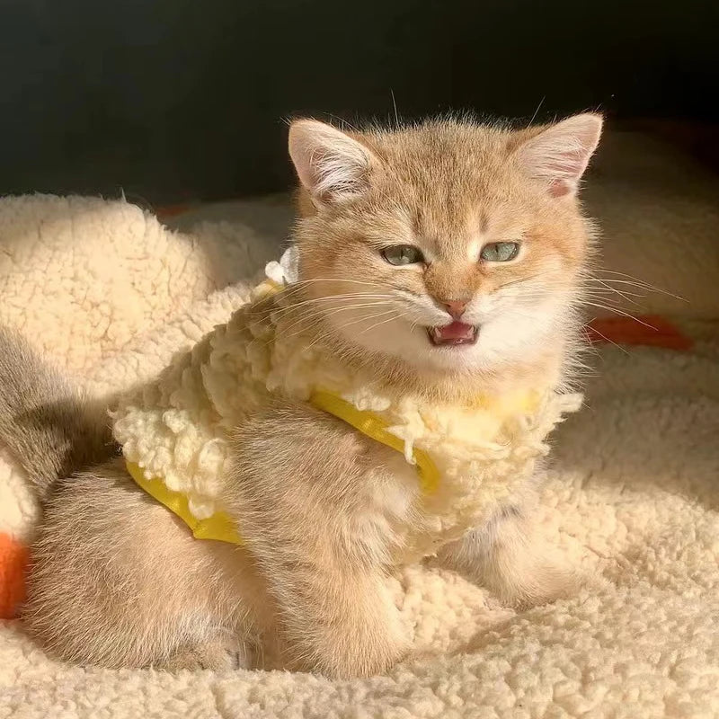 Newborn Cat Kitten Velvet Clothing Winter Warm Little Pet Sweater for Small Animals Bunny Pullovers Clothes Teacup Poodle XXXS