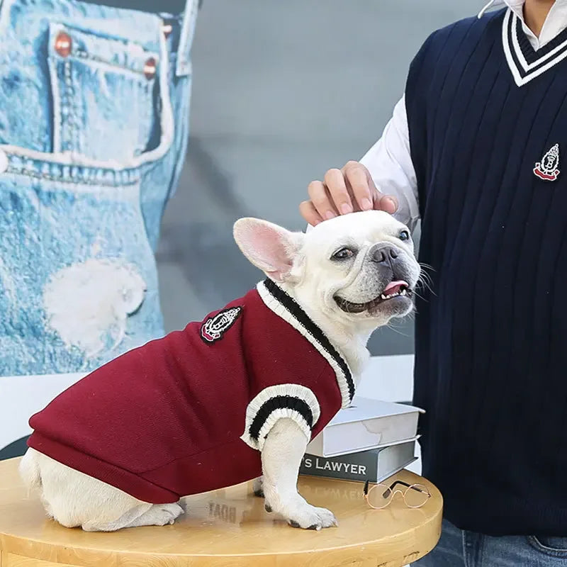 College Style Pet Dog Sweater. Warm Winter Outfit for Small & Medium Dogs