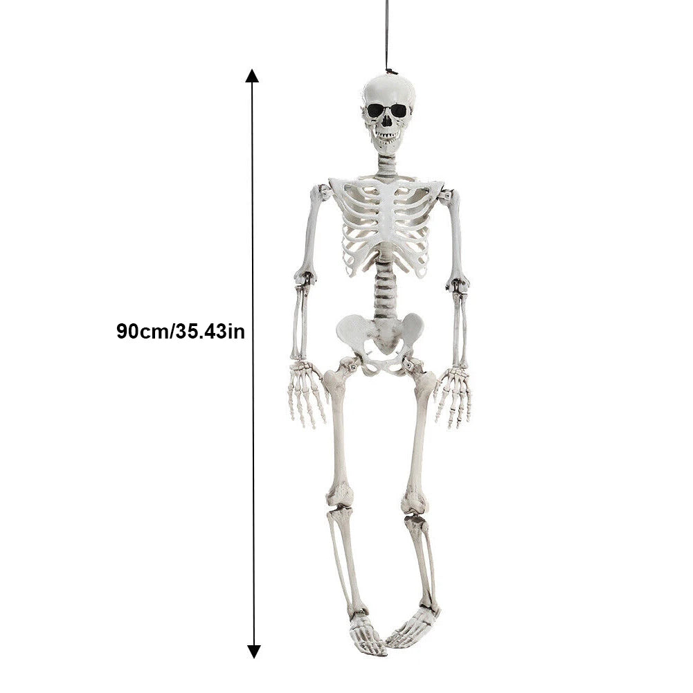 Life Size Haunted House Skull Prop Halloween Skeleton