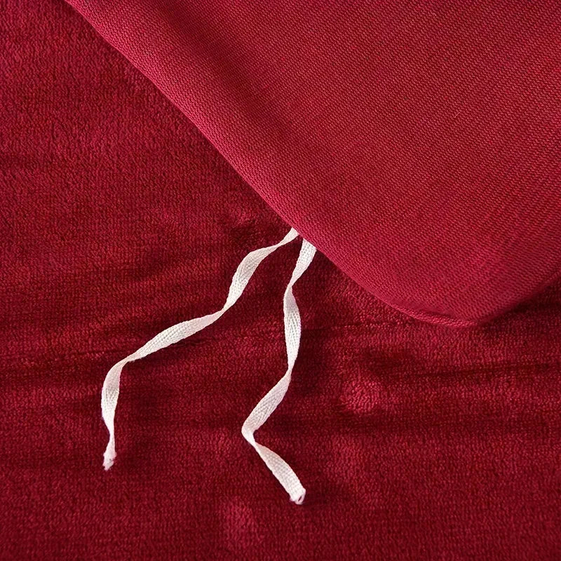 Luxury Milk Velvet Warm Duvet Cover Set