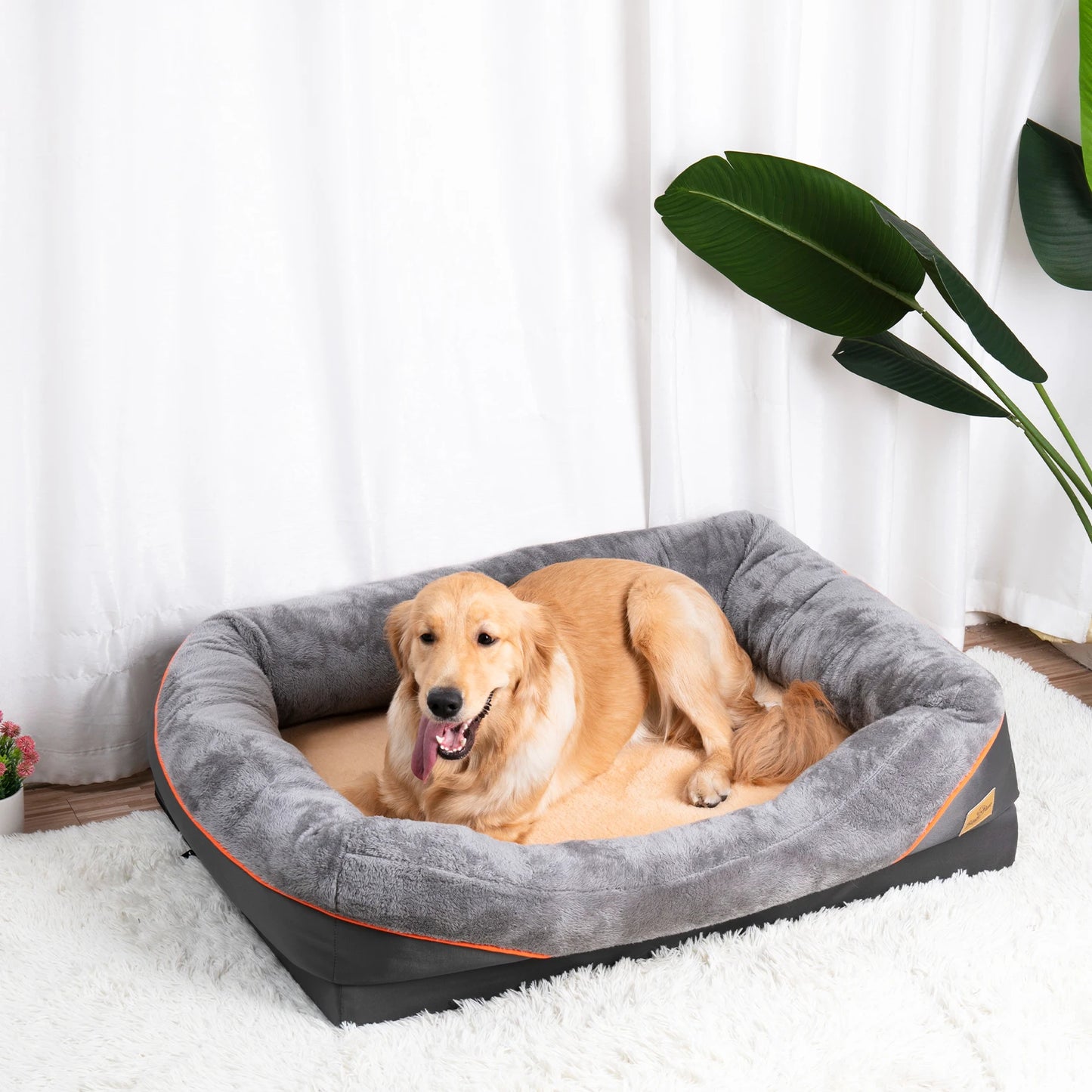 Large Orthopedic Dog Bed with Removable Washable Cover