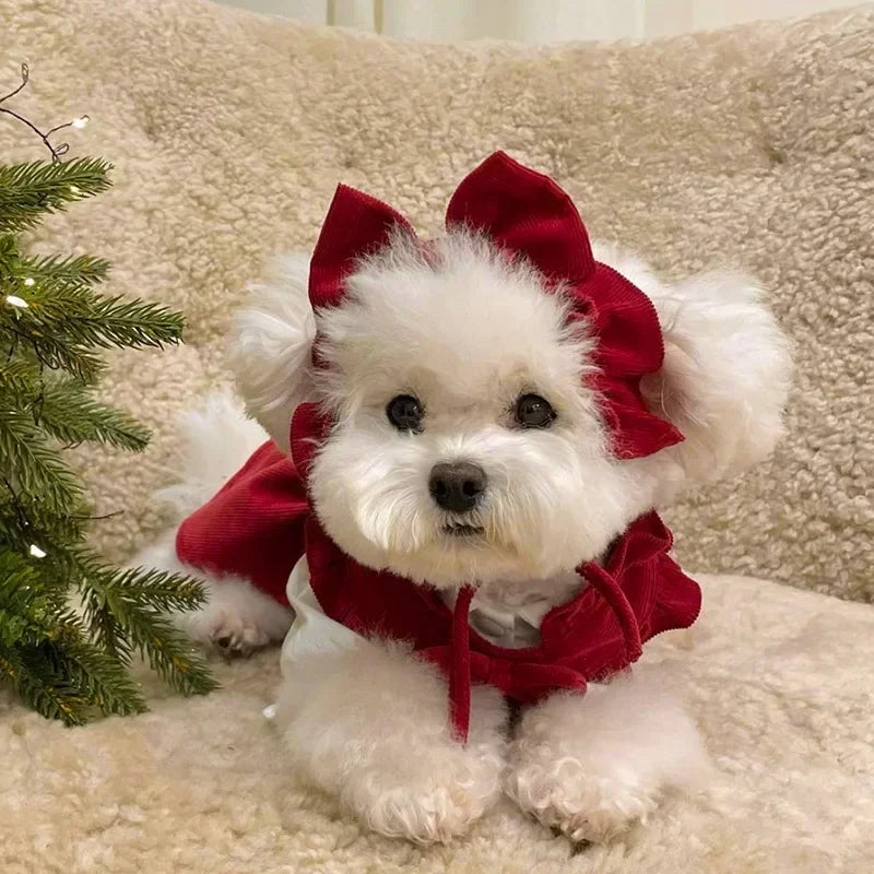 Luxury Princess Dog Dress for Small Dogs