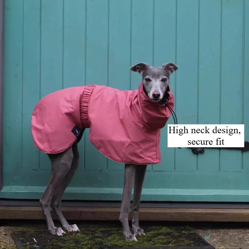 Luxury Waterproof Greyhound Dog Raincoat . Windproof Whippet Outdoor Jacket