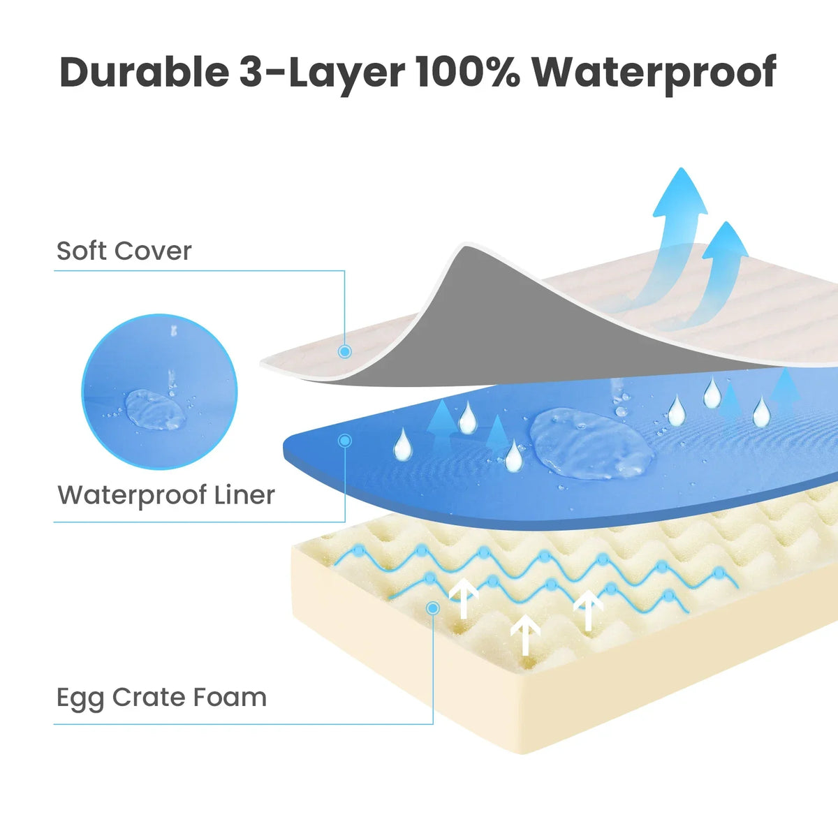 Orthopedic Memory Foam Dog Bed – Washable Removable Cover Pet Mat