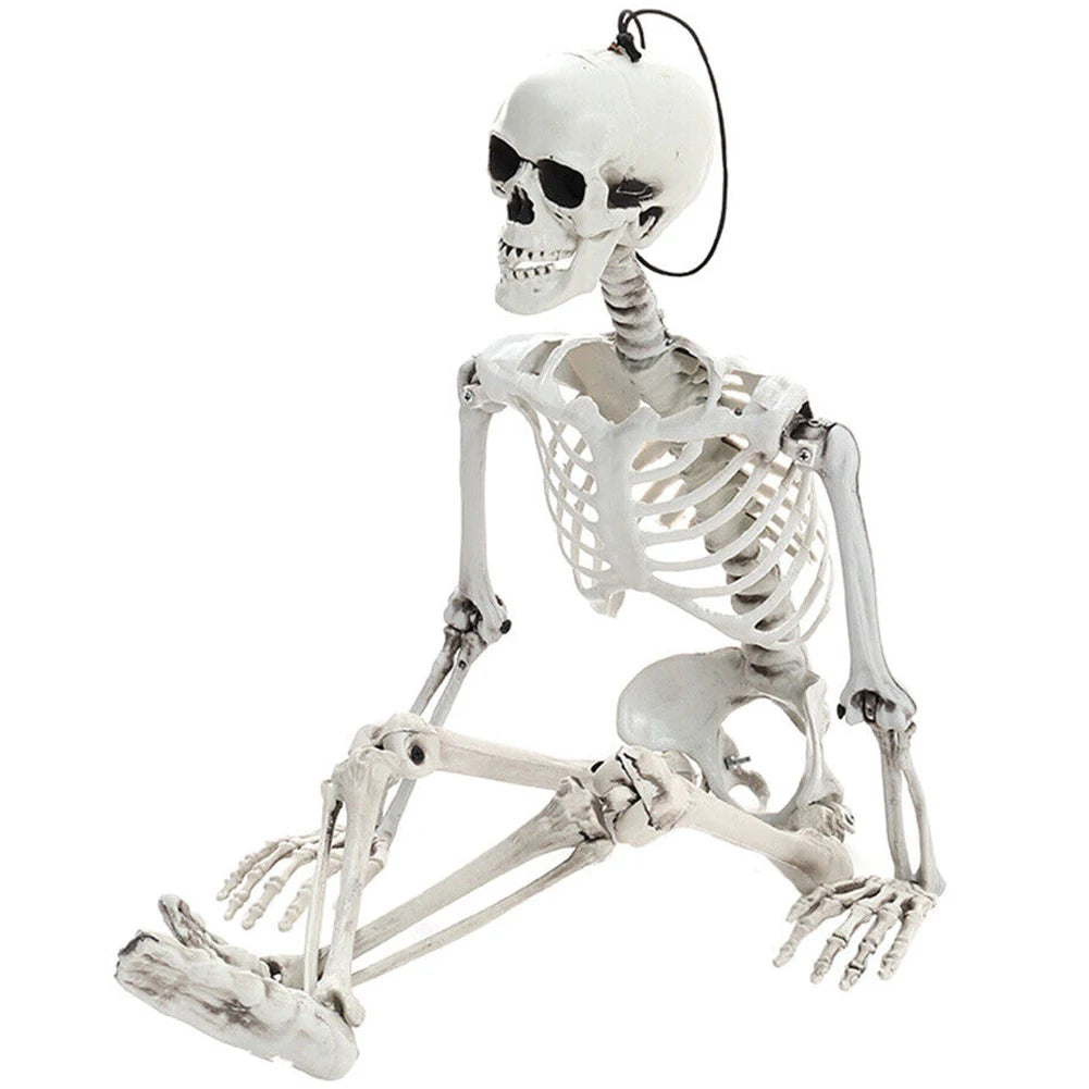 Life Size Haunted House Skull Prop Halloween Skeleton