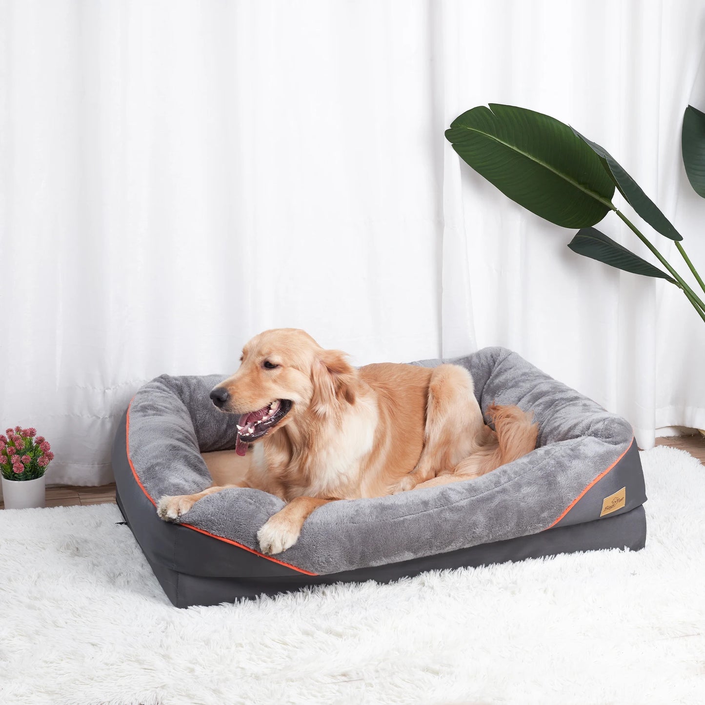 Large Orthopedic Dog Bed with Removable Washable Cover