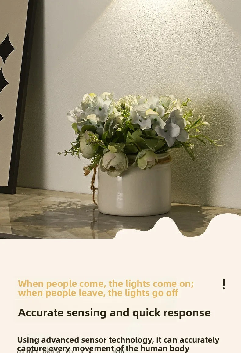 Rechargeable LED Motion Sensor Wall Spotlight with Remote Control