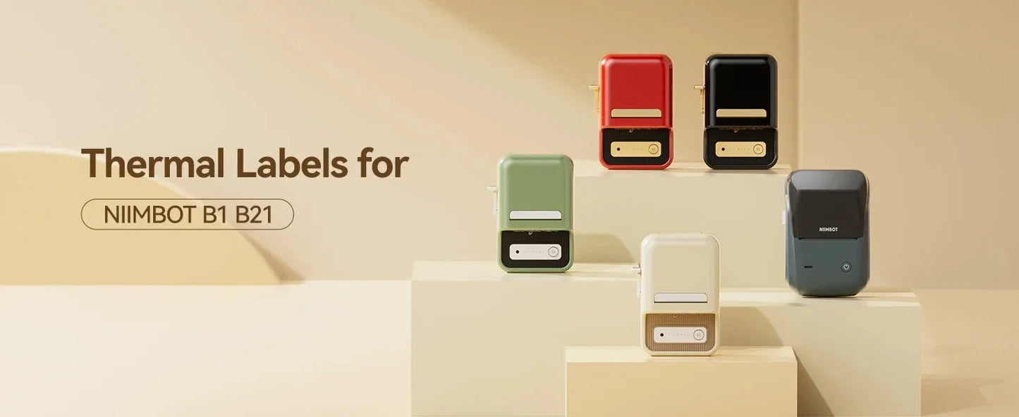 Niimbot B21 Portable Thermal Label Printer for Home Office & Small Business