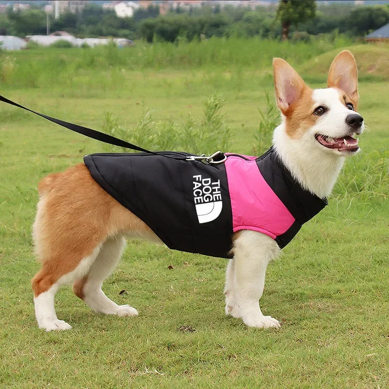 Waterproof Winter Dog Jacket. Warm Padded Pet Coat with Zipper Vest