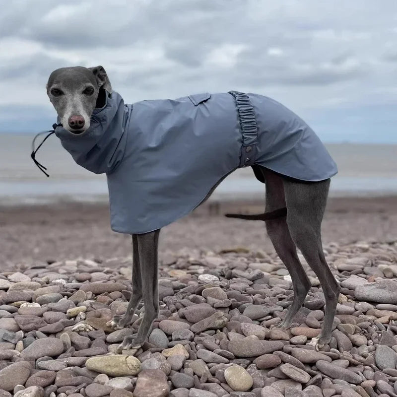 Luxury Waterproof Greyhound Dog Raincoat . Windproof Whippet Outdoor Jacket