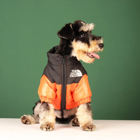 Winter Windproof Dog Jacket for French Bulldogs & Small Dogs