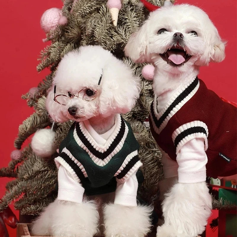 College Style Pet Dog Sweater. Warm Winter Outfit for Small & Medium Dogs