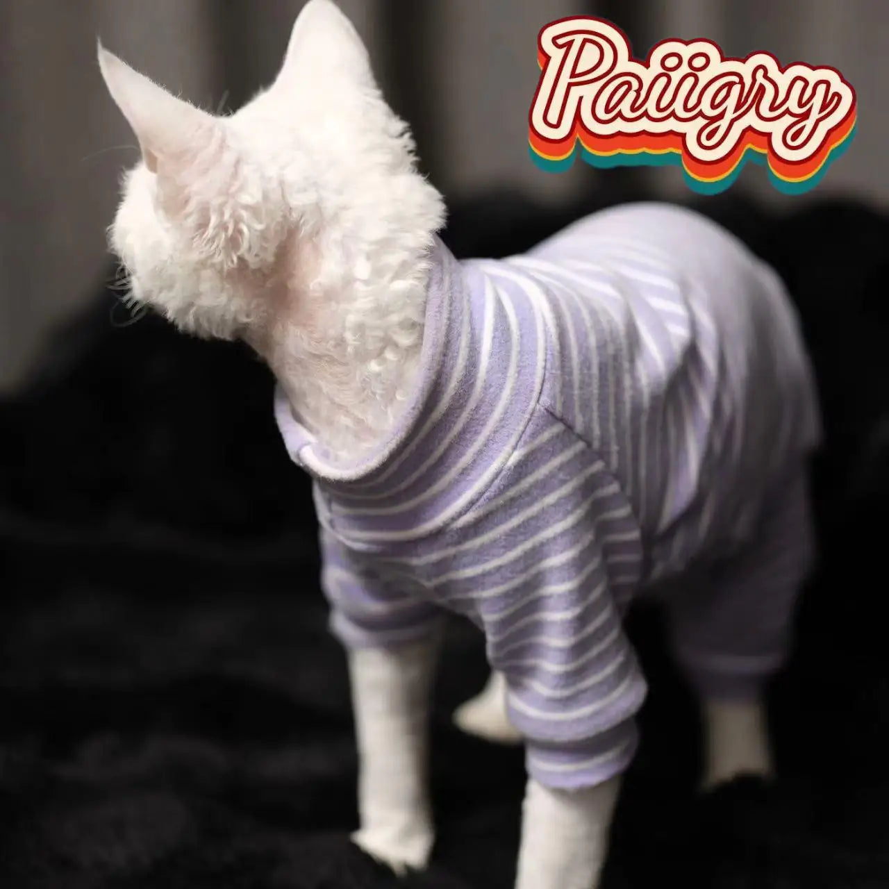 Cozy Striped Hairless Cat Sweater.  Soft Warm Pet Turtleneck Outfit