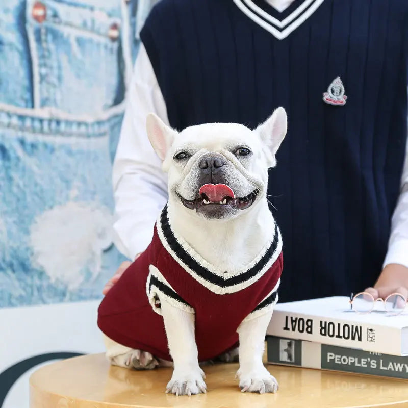 College Style Pet Dog Sweater. Warm Winter Outfit for Small & Medium Dogs