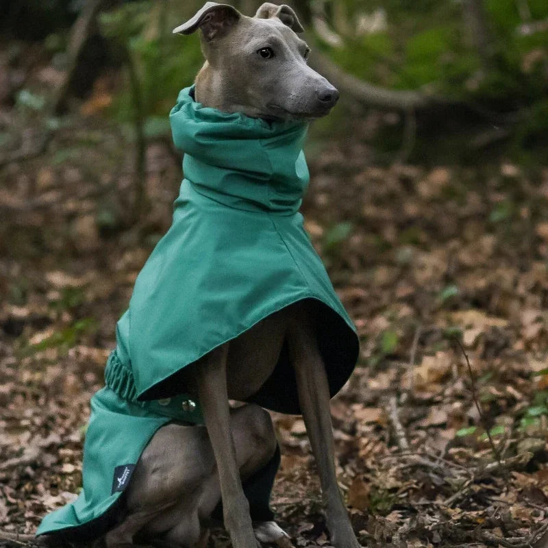Luxury Waterproof Greyhound Dog Raincoat . Windproof Whippet Outdoor Jacket