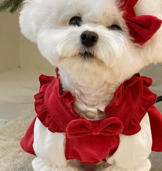 Luxury Princess Dog Dress for Small Dogs