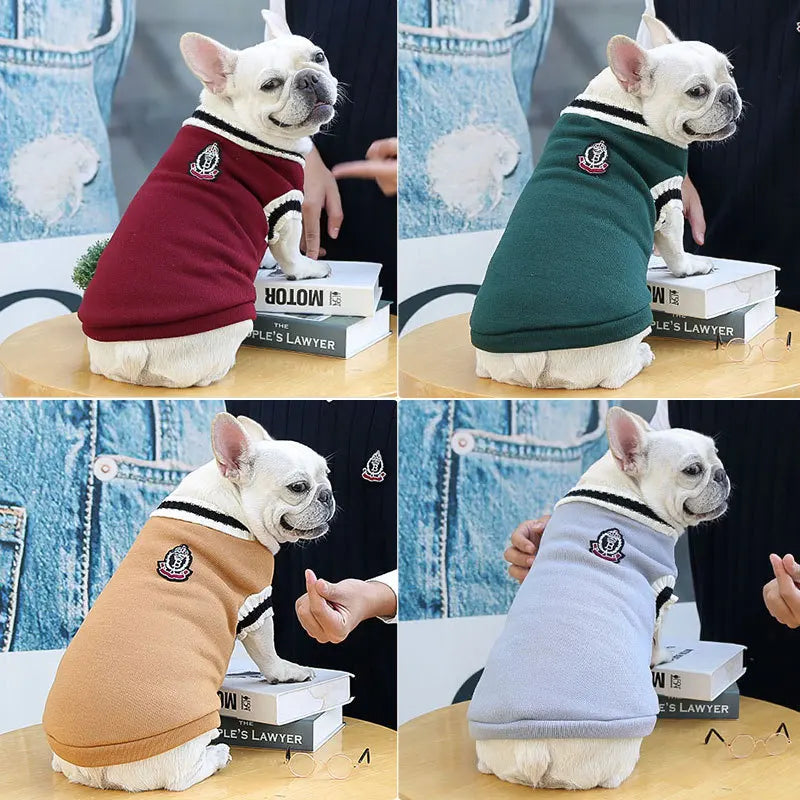 College Style Pet Dog Sweater. Warm Winter Outfit for Small & Medium Dogs