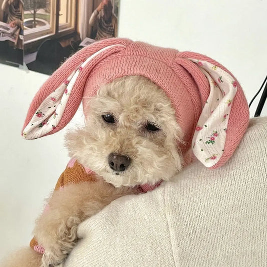 INS New Cute Rabbit Ear Pet Knitted Hat Winter Warmth Cover Cat Cute Dog Decoration Dog Cap Pomerian Dog Accessories