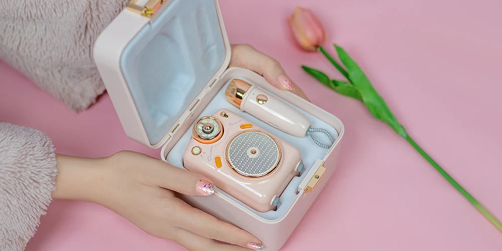 Divoom Fairy-OK Portable Bluetooth Karaoke Speaker with Wireless Microphone | Retro Mini Speaker | Rechargeable Music System