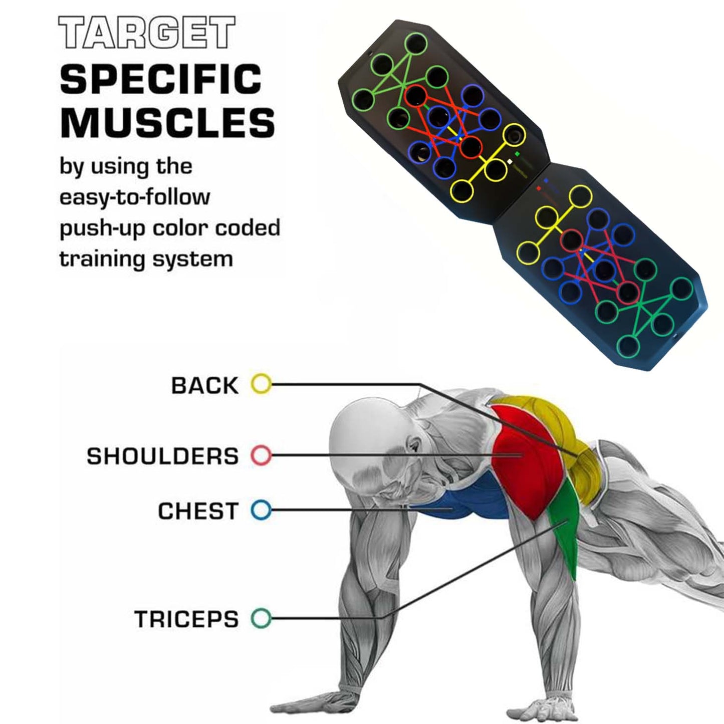 Portable Push-Up Board Set with Handles . Foldable Full Body Strength Training System